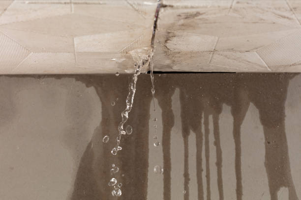 Professional Water Damage Restoration technician working in Clarksville, IA